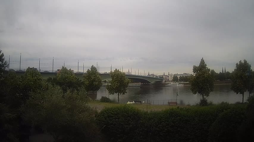 Archiv Foto Webcam Kennedybrücke in Bonn