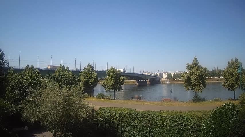 Archiv Foto Webcam Kennedybrücke in Bonn