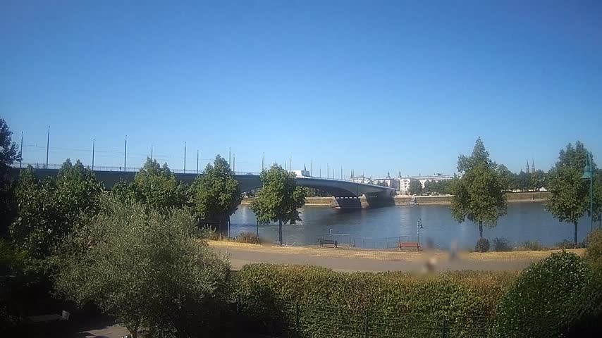 Archiv Foto Webcam Kennedybrücke in Bonn