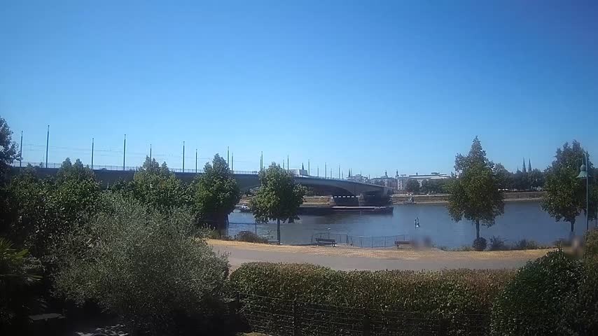 Archiv Foto Webcam Kennedybrücke in Bonn