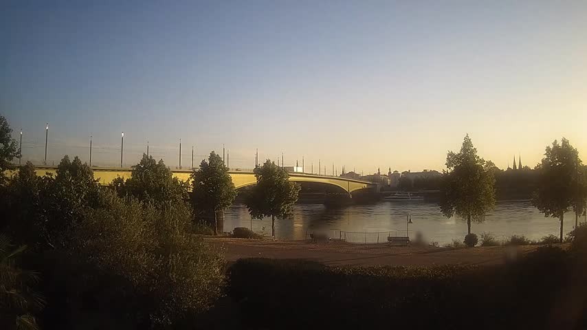 Archiv Foto Webcam Kennedybrücke in Bonn