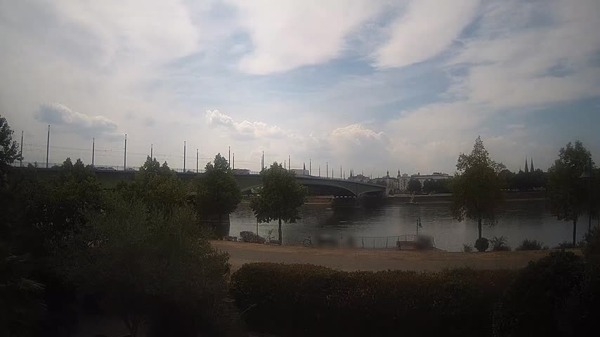 Archiv Foto Webcam Kennedybrücke in Bonn