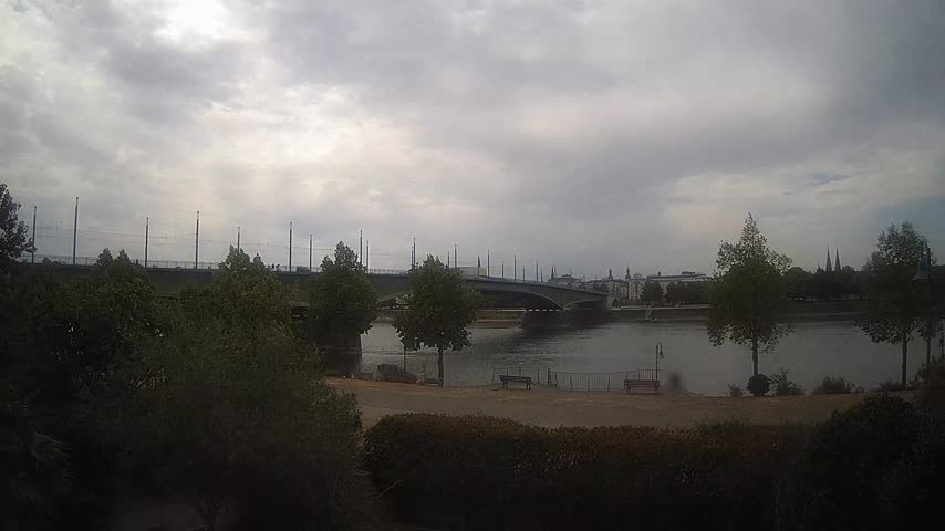 Archiv Foto Webcam Kennedybrücke in Bonn