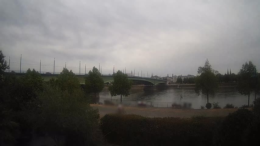 Archiv Foto Webcam Kennedybrücke in Bonn
