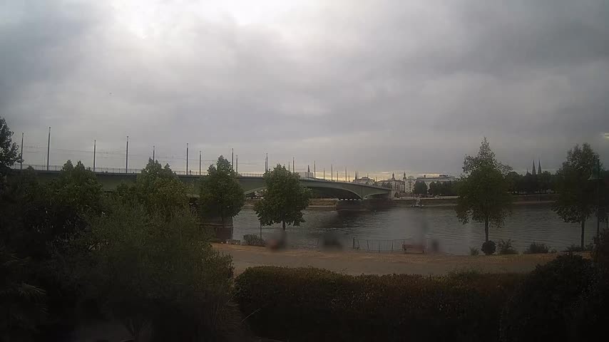 Archiv Foto Webcam Kennedybrücke in Bonn