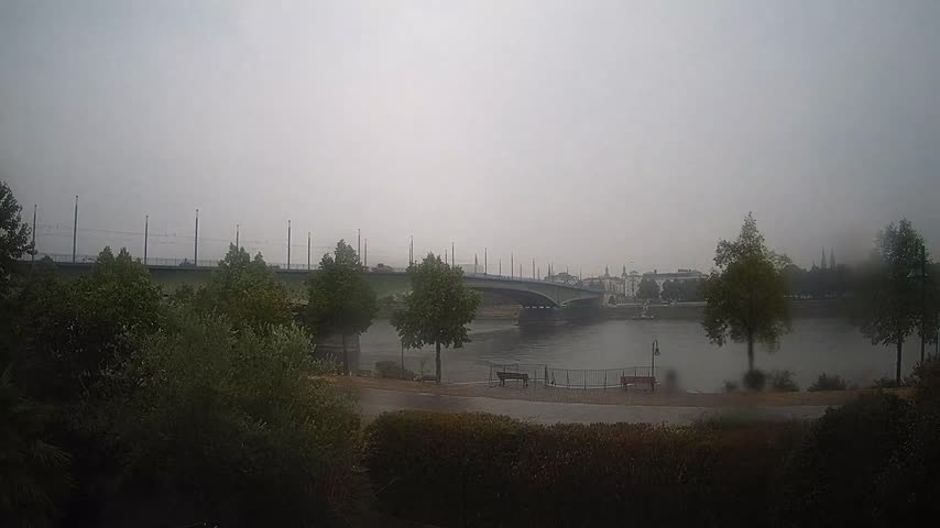 Archiv Foto Webcam Kennedybrücke in Bonn