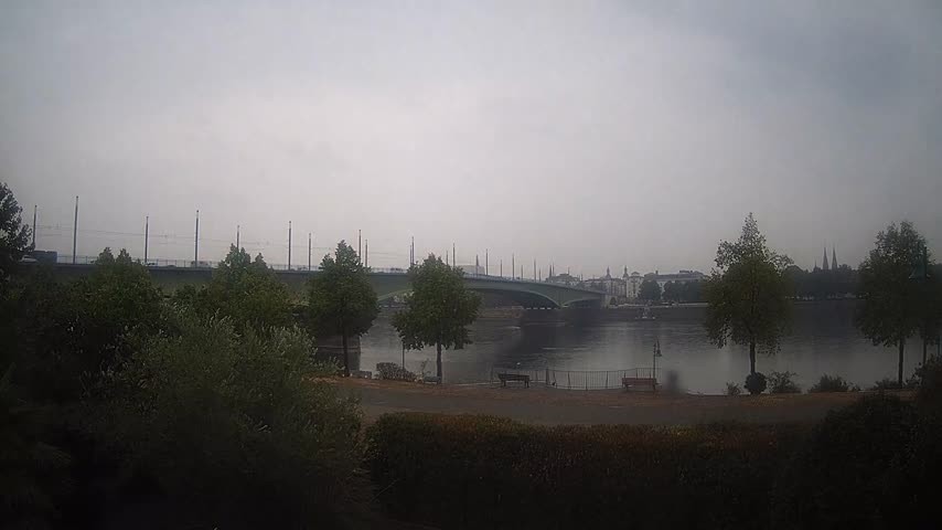 Archiv Foto Webcam Kennedybrücke in Bonn