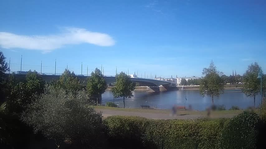 Archiv Foto Webcam Kennedybrücke in Bonn