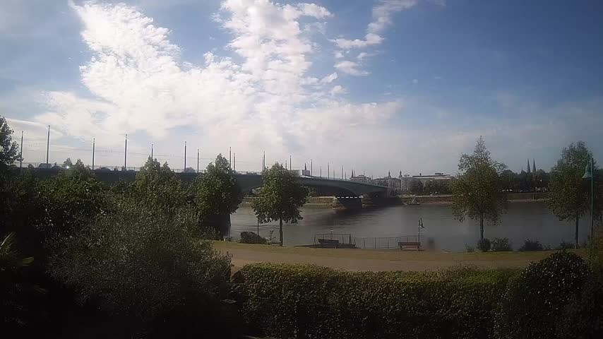 Archiv Foto Webcam Kennedybrücke in Bonn