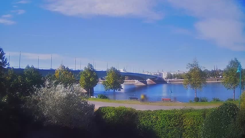 Archiv Foto Webcam Kennedybrücke in Bonn