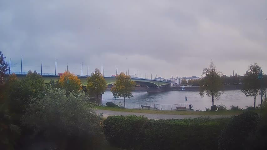 Archiv Foto Webcam Kennedybrücke in Bonn