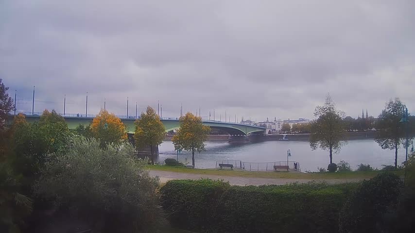Archiv Foto Webcam Kennedybrücke in Bonn