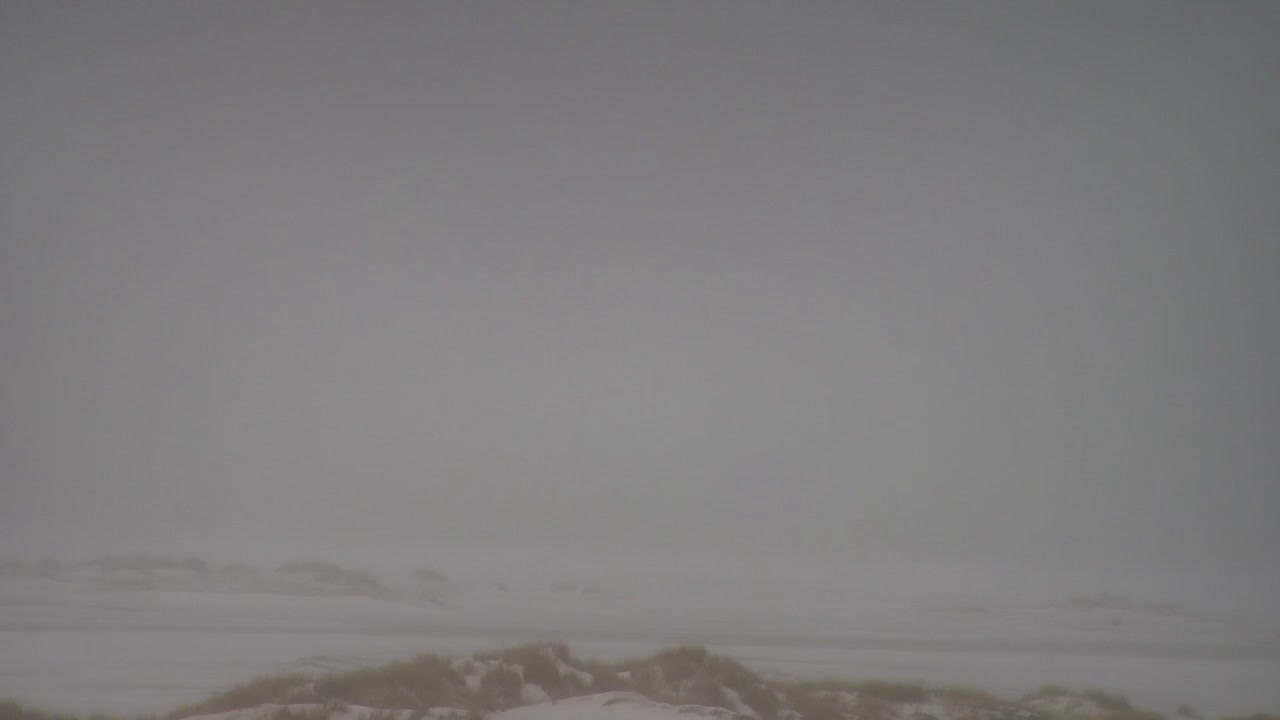 Archiv Foto Webcam Borkum: Gästehaus Victoria