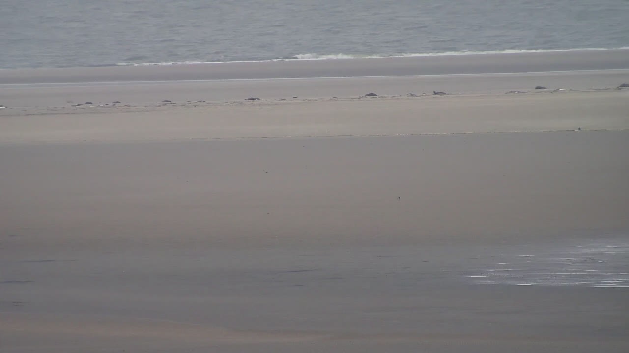 Archiv Foto Webcam Borkum: Gästehaus Victoria