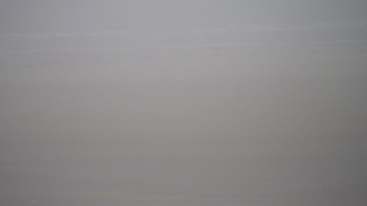 Archiv Foto Webcam Borkum: Gästehaus Victoria