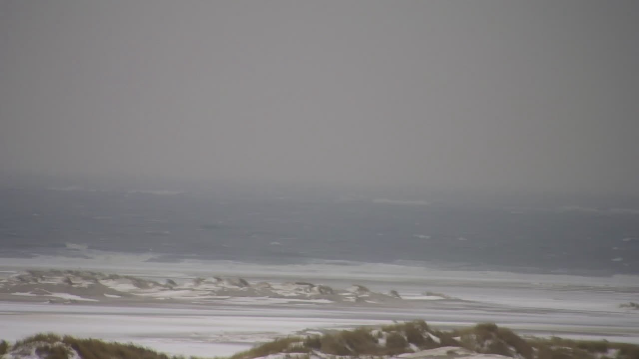 Archiv Foto Webcam Borkum: Gästehaus Victoria