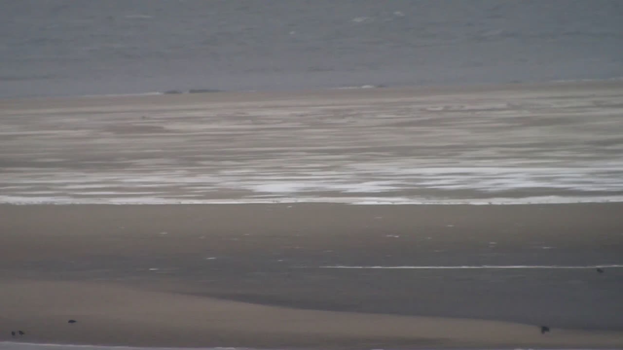 Archiv Foto Webcam Borkum: Gästehaus Victoria