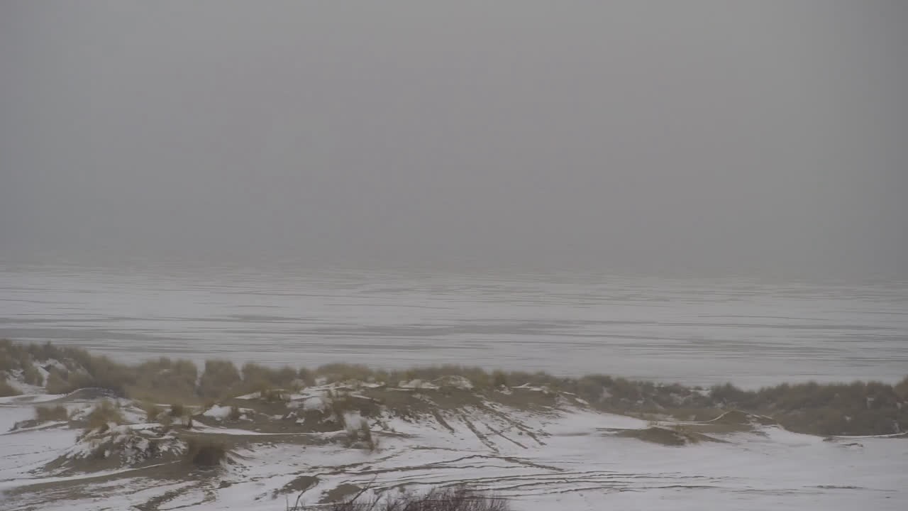 Archiv Foto Webcam Borkum: Gästehaus Victoria