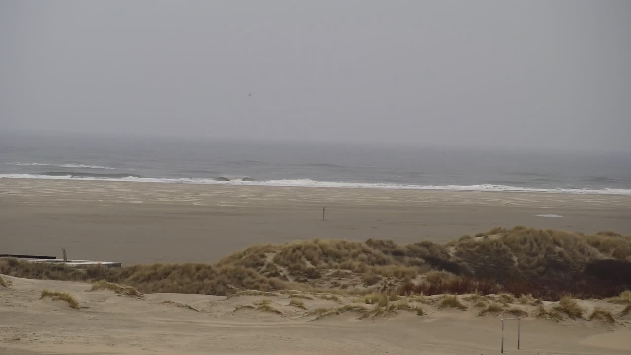 Archiv Foto Webcam Borkum: Gästehaus Victoria