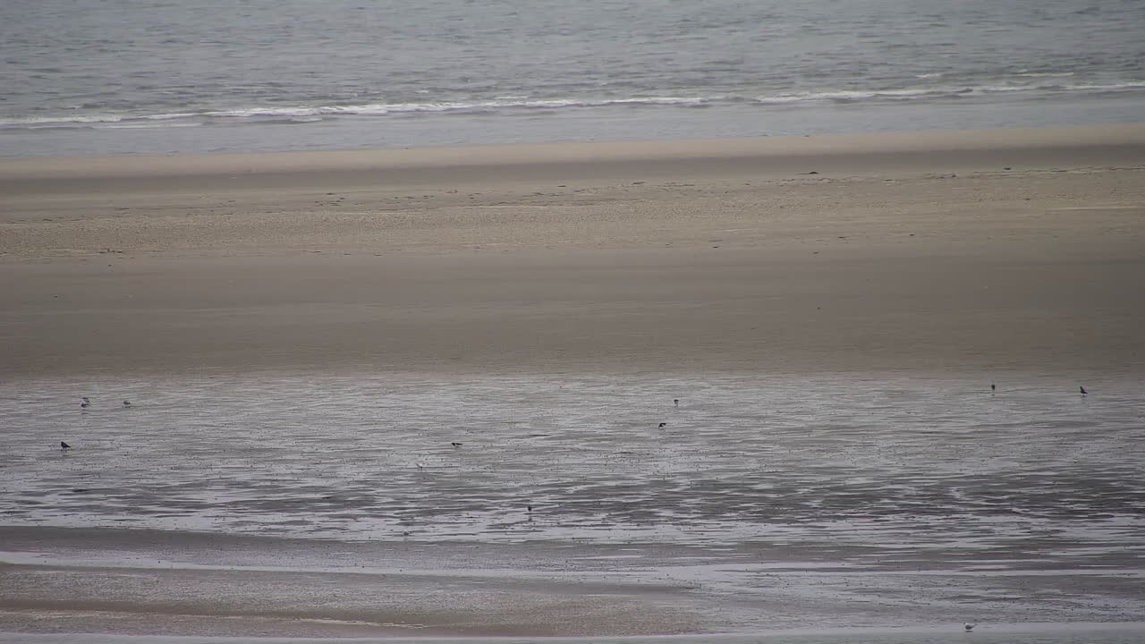 Archiv Foto Webcam Borkum: Gästehaus Victoria