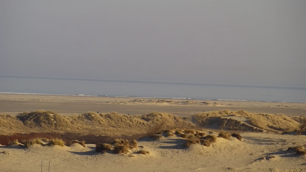 Archiv Foto Webcam Borkum: Gästehaus Victoria