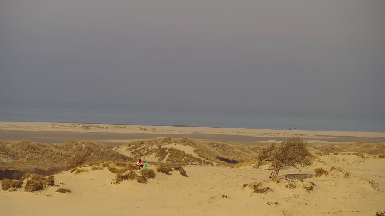 Archived image Webcam Borkum: Guest House Victoria