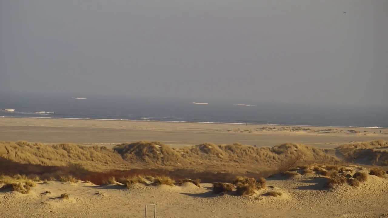 Archived image Webcam Borkum: Guest House Victoria