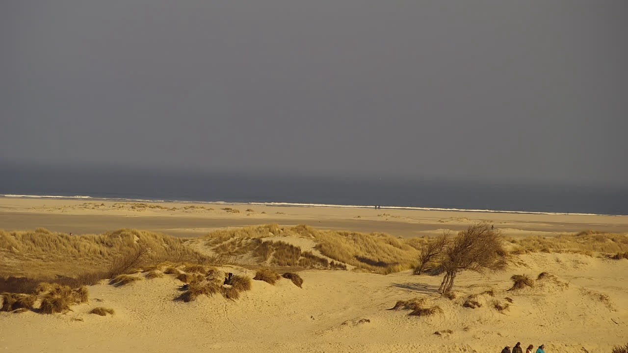 Archived image Webcam Borkum: Guest House Victoria