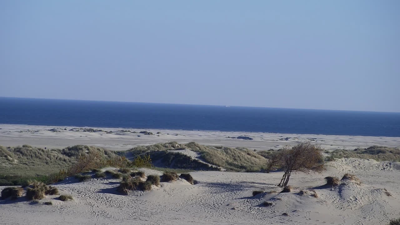 Archiv Foto Webcam Borkum: Gästehaus Victoria