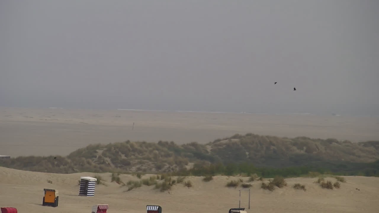 Archived image Webcam Borkum: Guest House Victoria