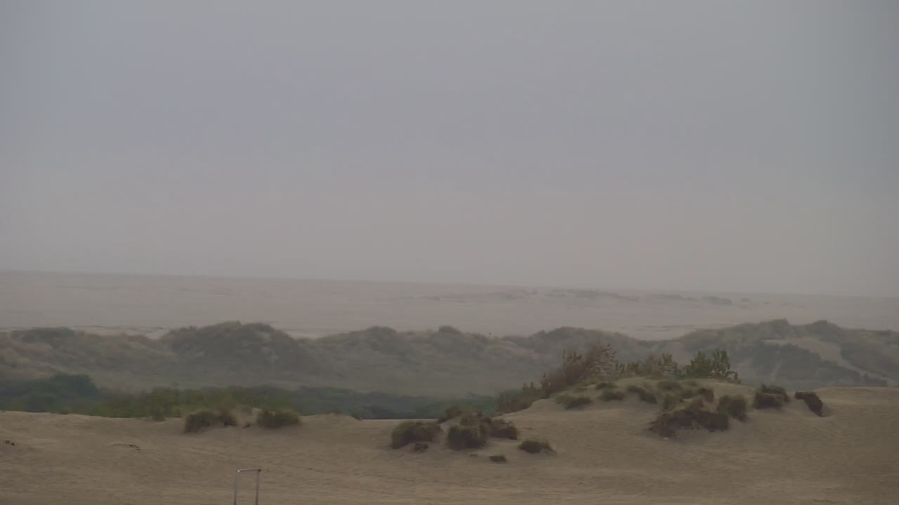 Archived image Webcam Borkum: Guest House Victoria