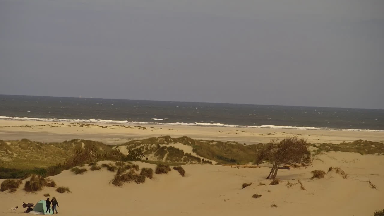 Archived image Webcam Borkum: Guest House Victoria