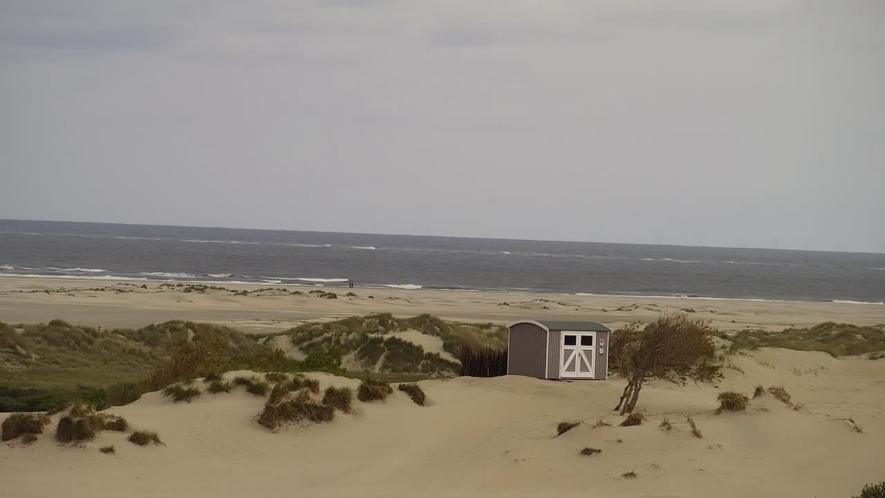 Archiv Foto Webcam Borkum: Gästehaus Victoria