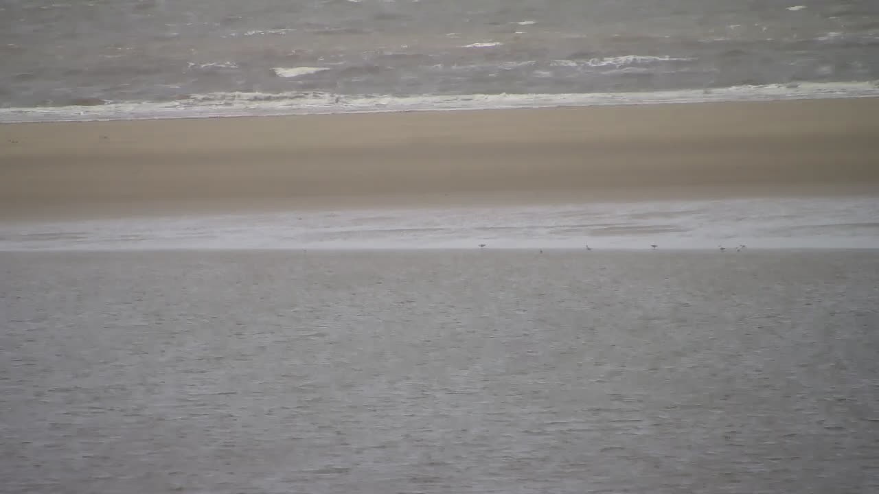 Archiv Foto Webcam Borkum: Gästehaus Victoria