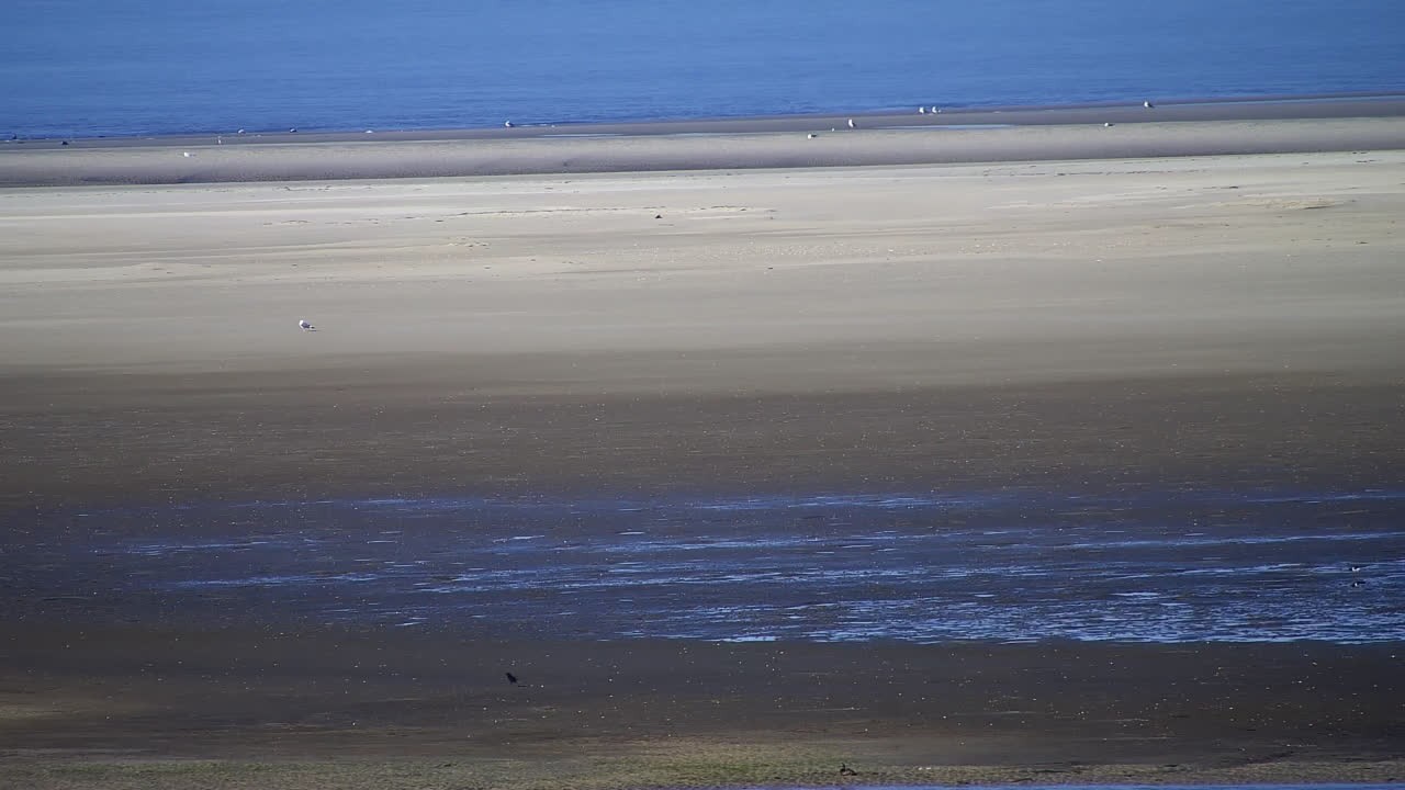 Archiv Foto Webcam Borkum: Gästehaus Victoria