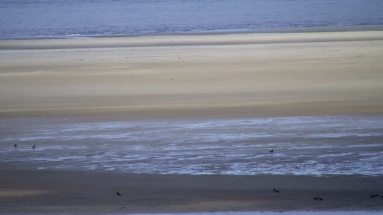 Archived image Webcam Borkum: Guest House Victoria