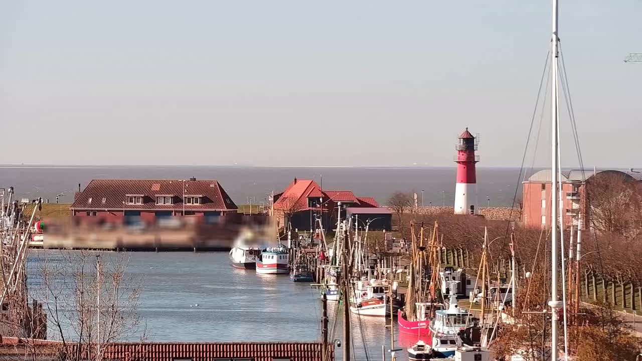 Archiv Foto Webcam Büsum: Museumshafen