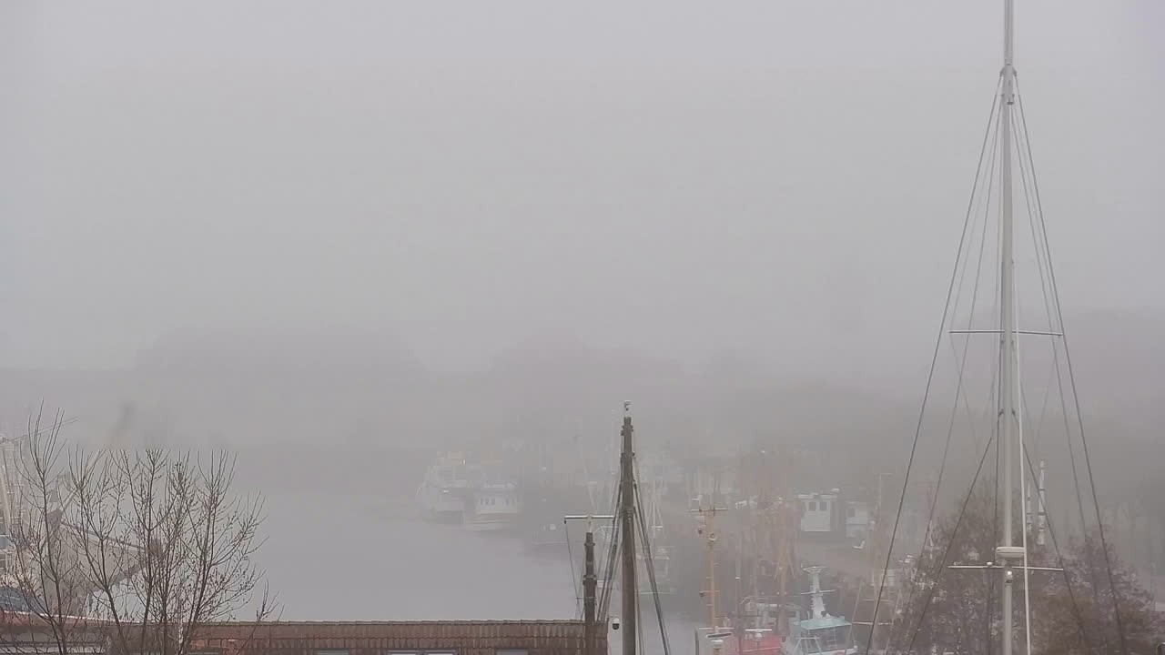 Archiv Foto Webcam Büsum: Museumshafen