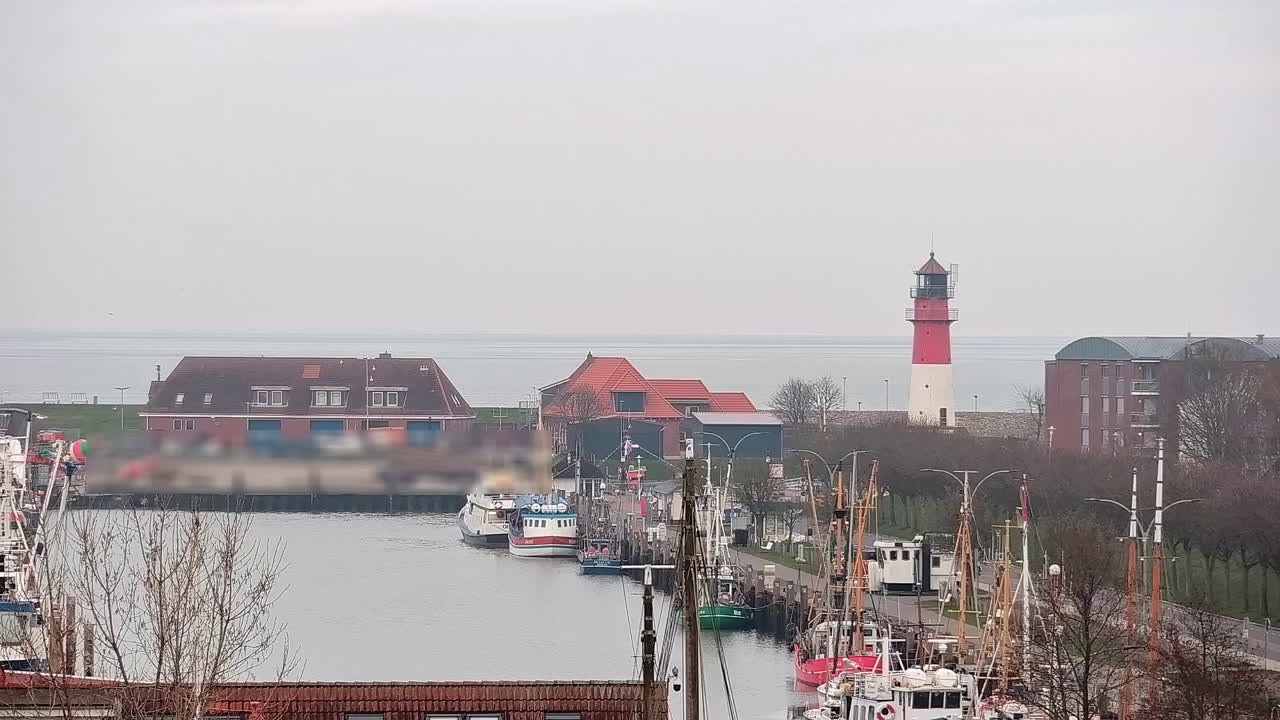Archiv Foto Webcam Büsum: Museumshafen