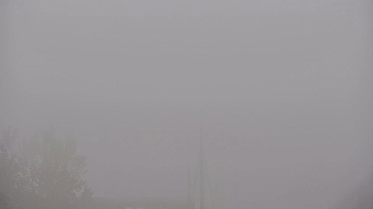 Archiv Foto Webcam Büsum: Museumshafen