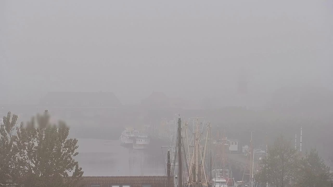 Archiv Foto Webcam Büsum: Museumshafen