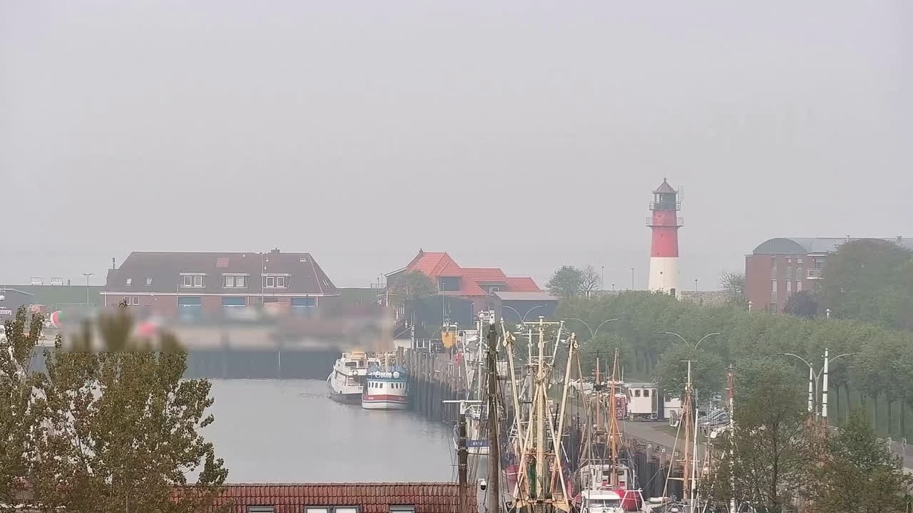 Archiv Foto Webcam Büsum: Museumshafen