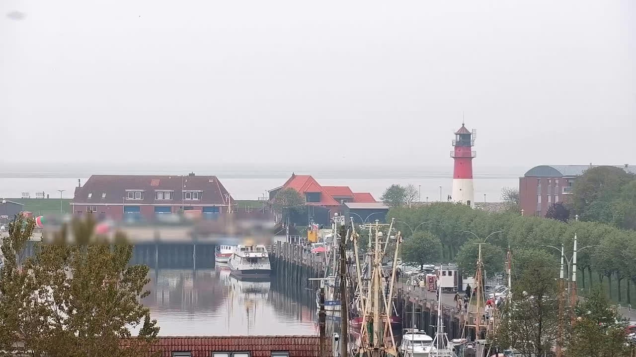 Archived image Webcam Büsum: Museum harbour