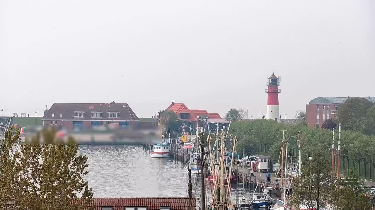 Archived image Webcam Büsum: Museum harbour