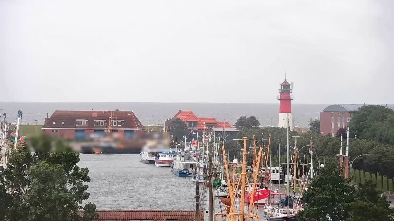 Archiv Foto Webcam Büsum: Museumshafen