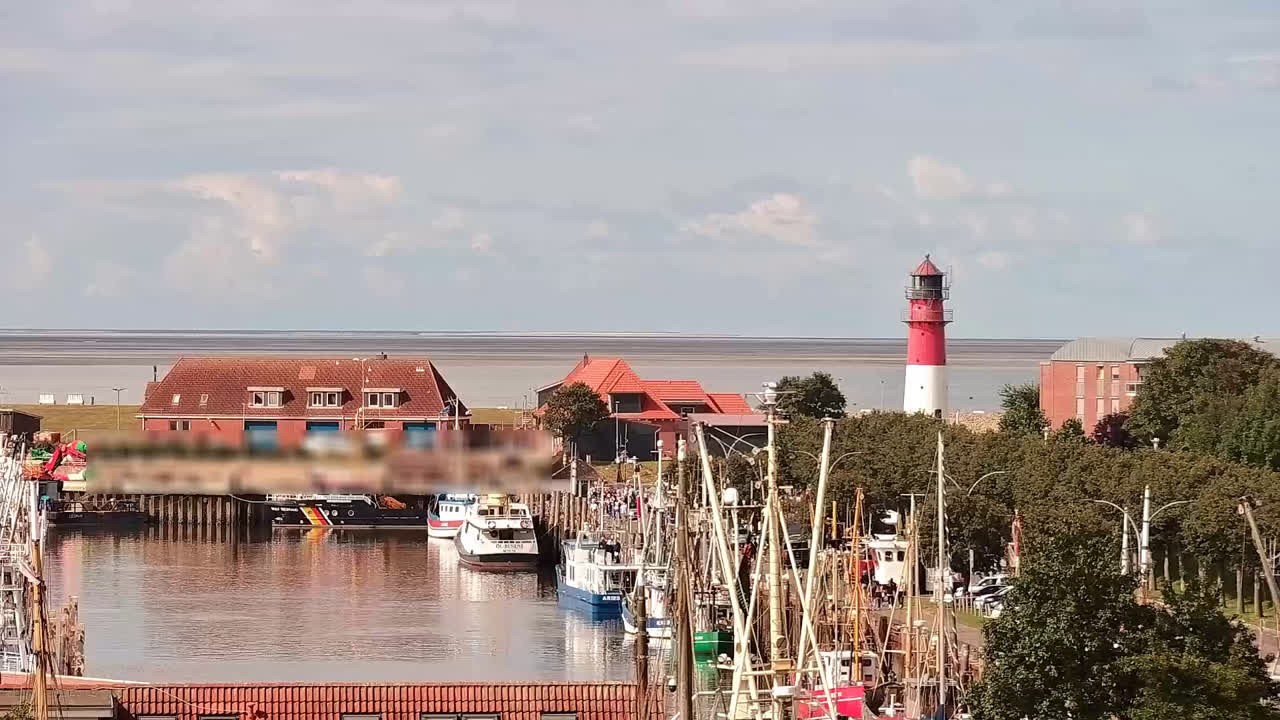 Archiv Foto Webcam Büsum: Museumshafen