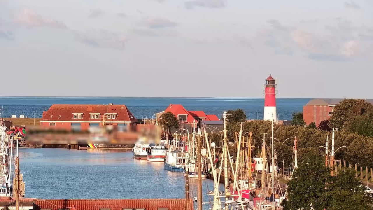 Archiv Foto Webcam Büsum: Museumshafen