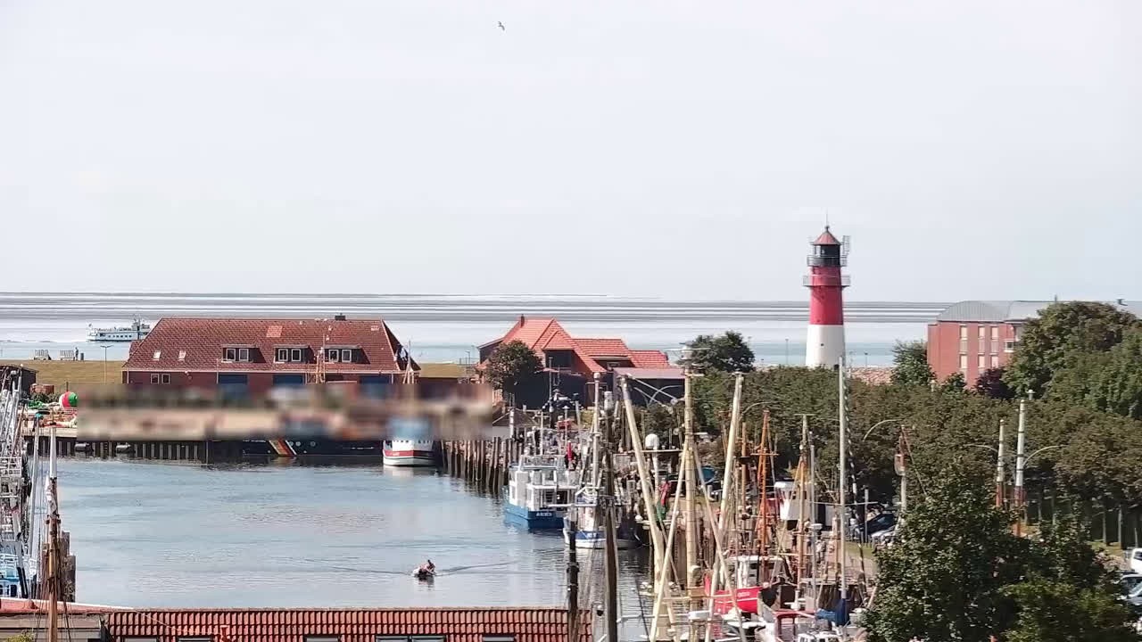 Archiv Foto Webcam Büsum: Museumshafen