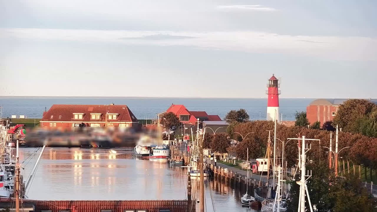 Archiv Foto Webcam Büsum: Museumshafen