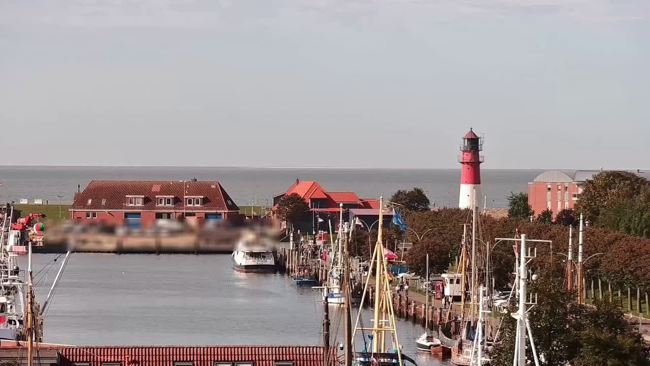 Archiv Foto Webcam Büsum: Museumshafen